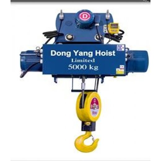 Palang cáp Hàn Quốc tải 5 tấn DONGYANG dầm đơn Palang cáp Hàn Quốc tải 5 tấn DONGYANG dầm đơn
